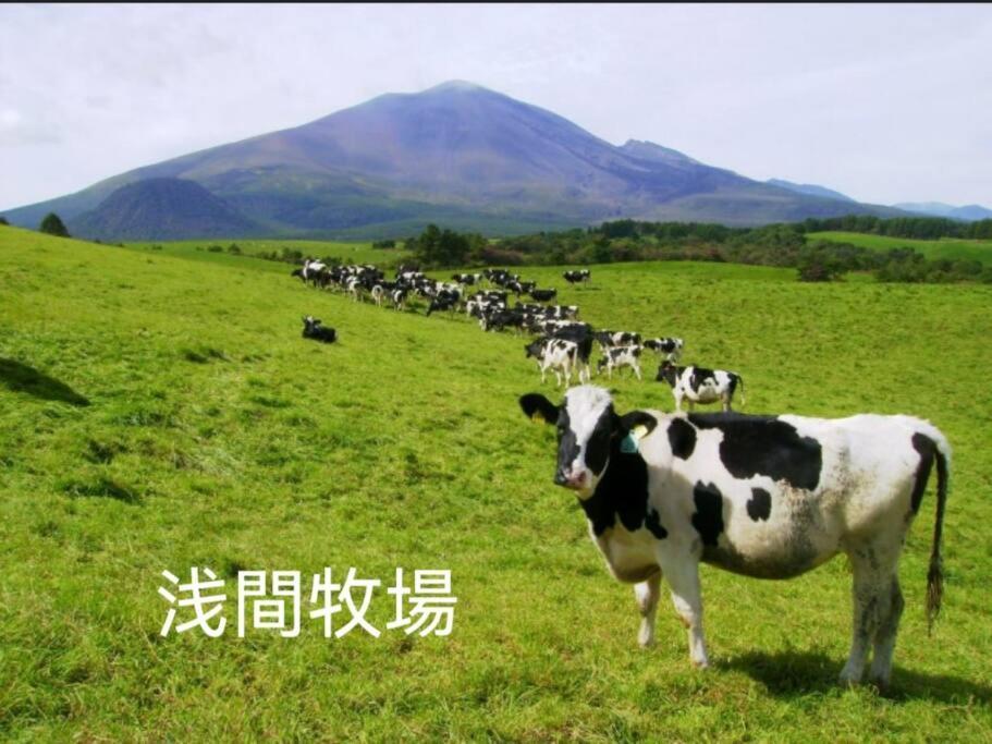 おもちゃ王国と北軽井沢の大自然を満喫できる貸別荘 轻井泽 外观 照片